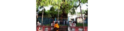 261. திருவான்மியூர்